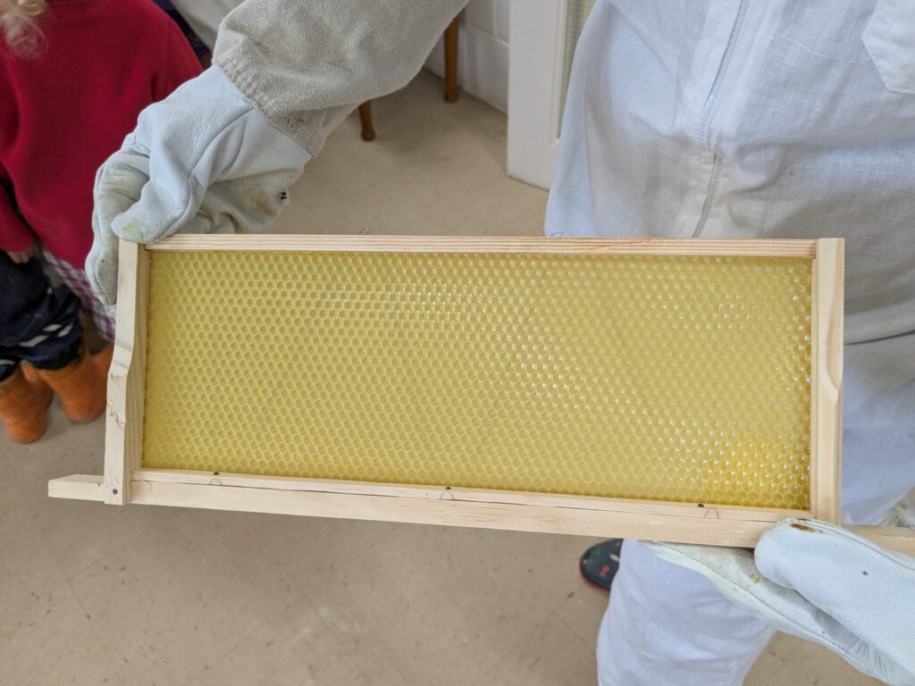 Buzzing with Excitement – Mr Campbell’s Bee Talk! 🐝🌷🍯, Copthill School