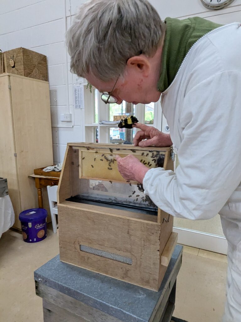 Buzzing with Excitement – Mr Campbell’s Bee Talk! 🐝🌷🍯, Copthill School