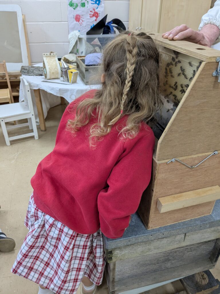 Buzzing with Excitement – Mr Campbell’s Bee Talk! 🐝🌷🍯, Copthill School