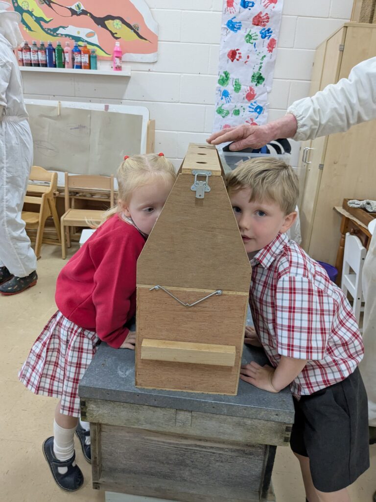 Buzzing with Excitement – Mr Campbell’s Bee Talk! 🐝🌷🍯, Copthill School