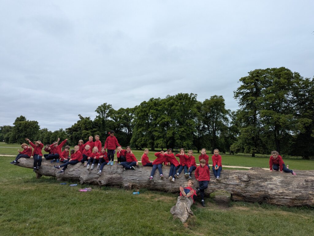 Out and about! 🚶♀️🚶➡️, Copthill School