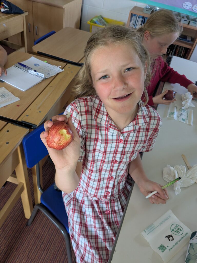 Mummification…, Copthill School