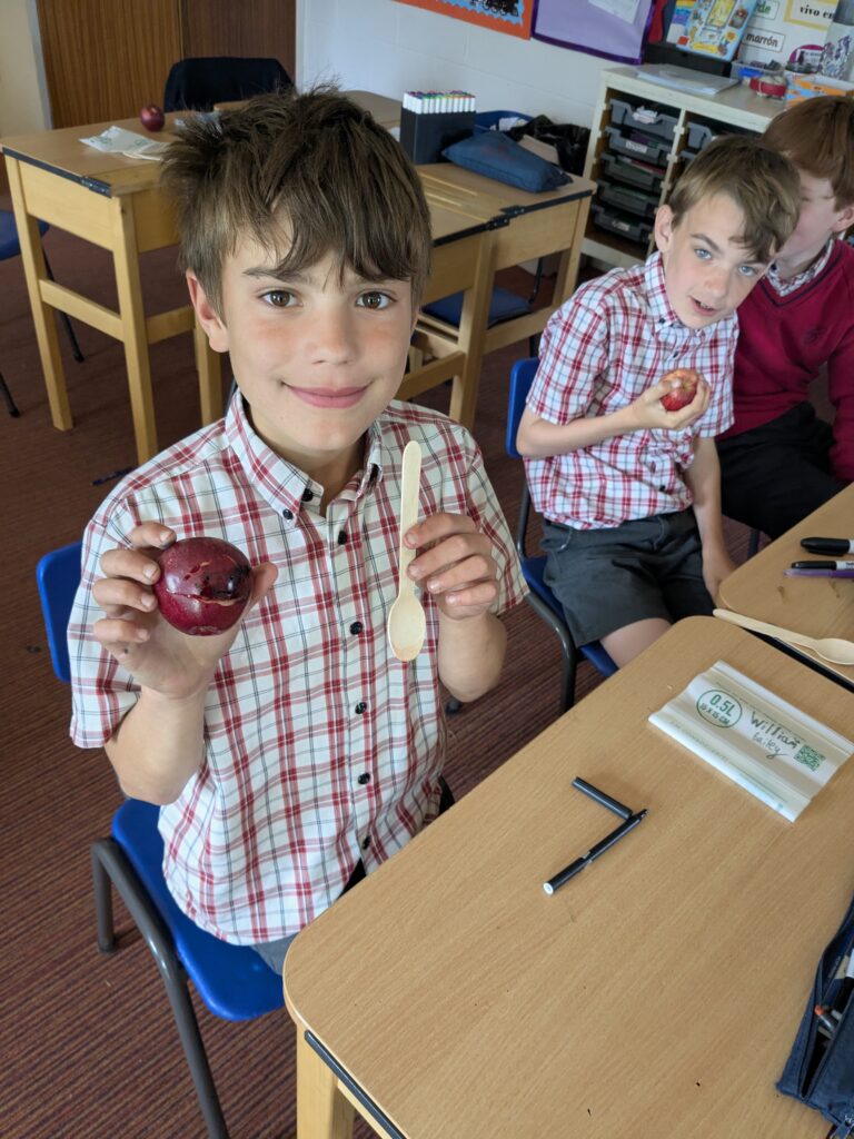 Mummification…, Copthill School