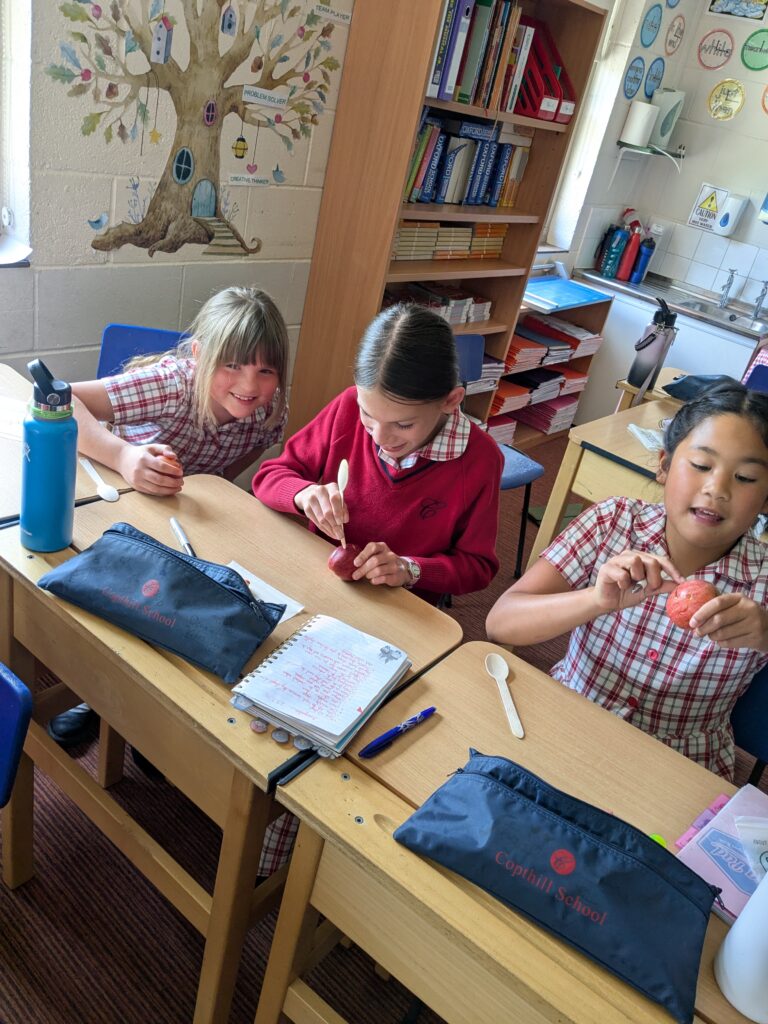 Mummification…, Copthill School
