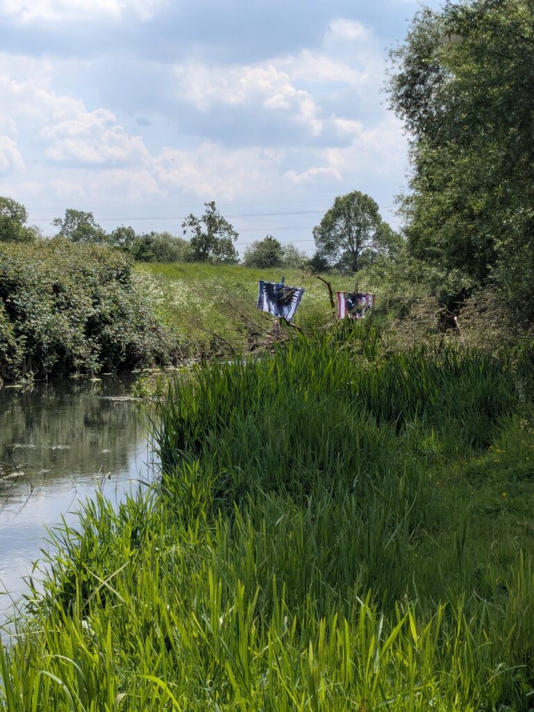Viking Voyage!, Copthill School