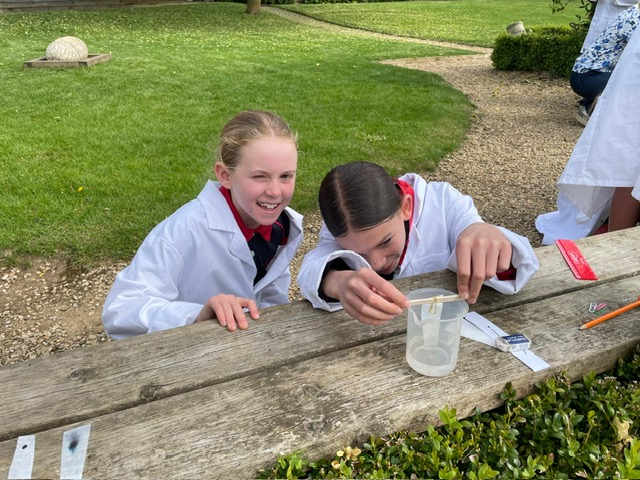 Y5 Chromatography, Copthill School