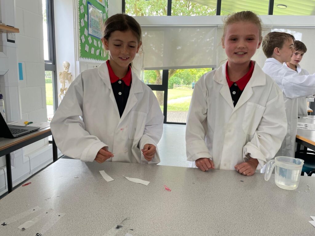 Y5 Chromatography, Copthill School