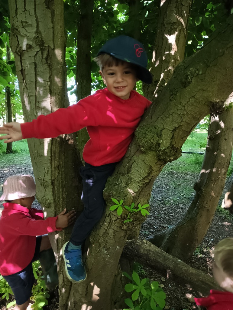 Forest School Fun, Copthill School