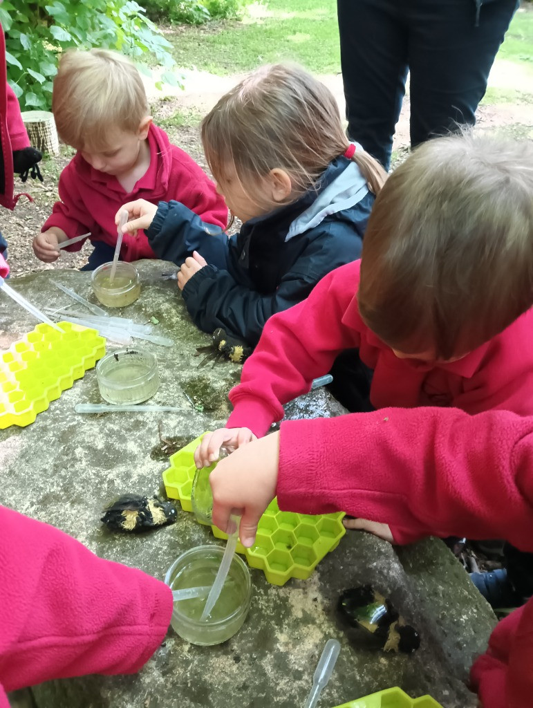 World Bee Day, Copthill School