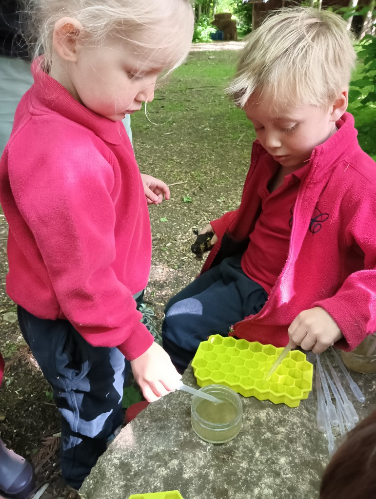 World Bee Day, Copthill School