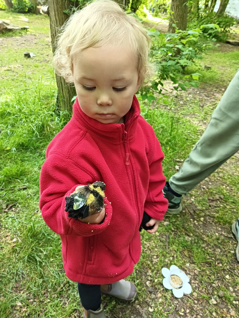 World Bee Day, Copthill School