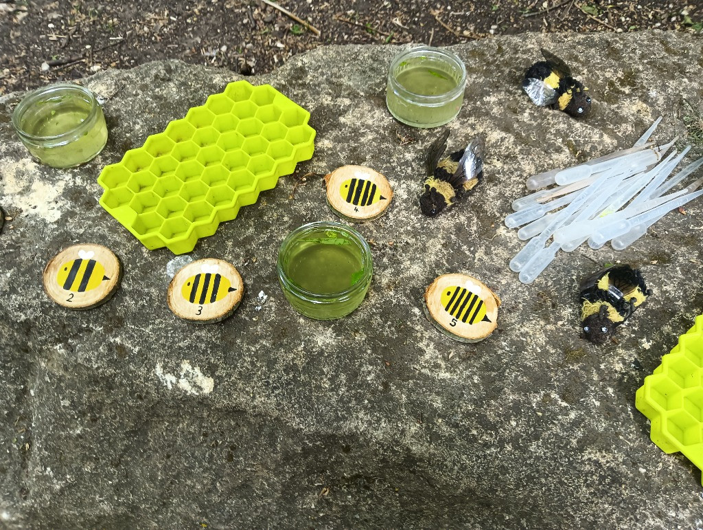 World Bee Day, Copthill School