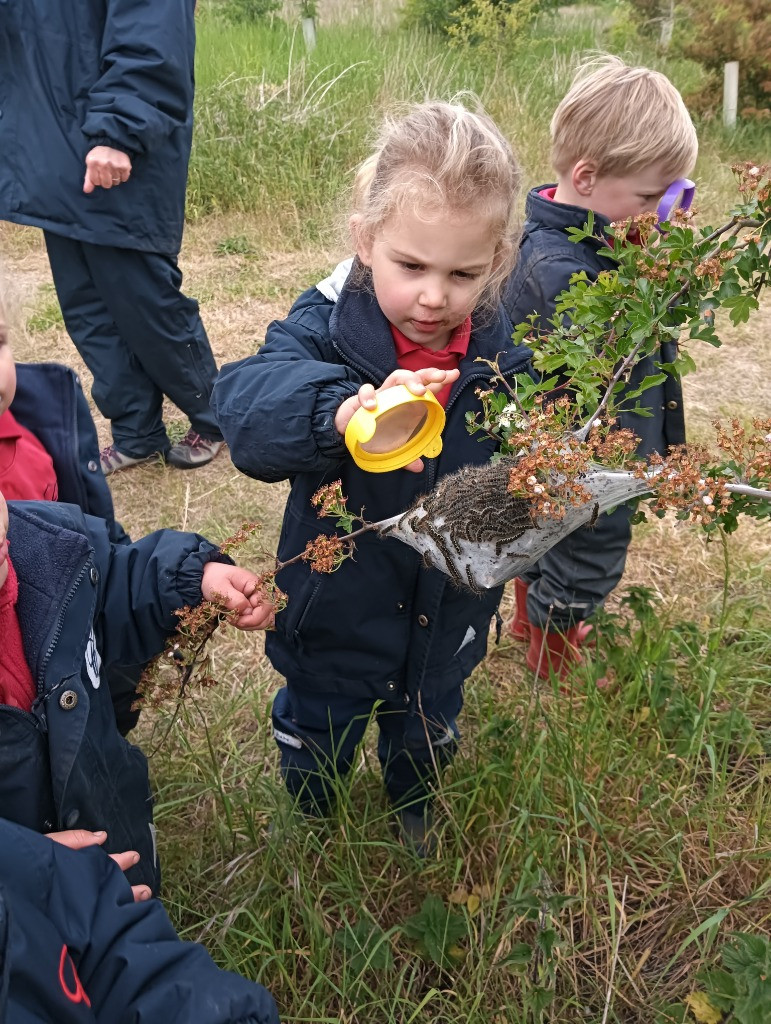 World Bee Day, Copthill School