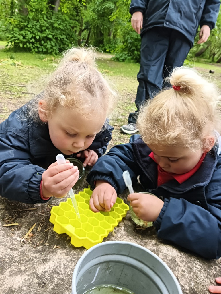 World Bee Day, Copthill School
