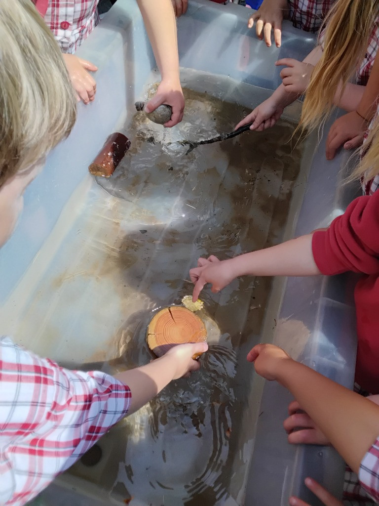 Float or Flop? The Very Scientific Woodland Water Test! 🌿🧪💧, Copthill School
