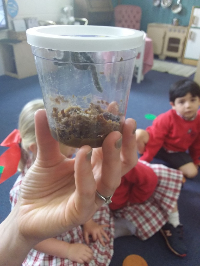 Caterpillar Chronicles: From Wriggles to Wings! 🐛✨🦋, Copthill School