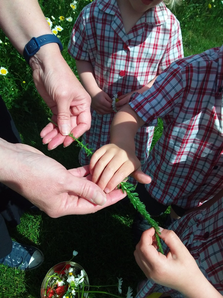 Petal Patrol & the Great Fairy Escape 🌼🧚, Copthill School