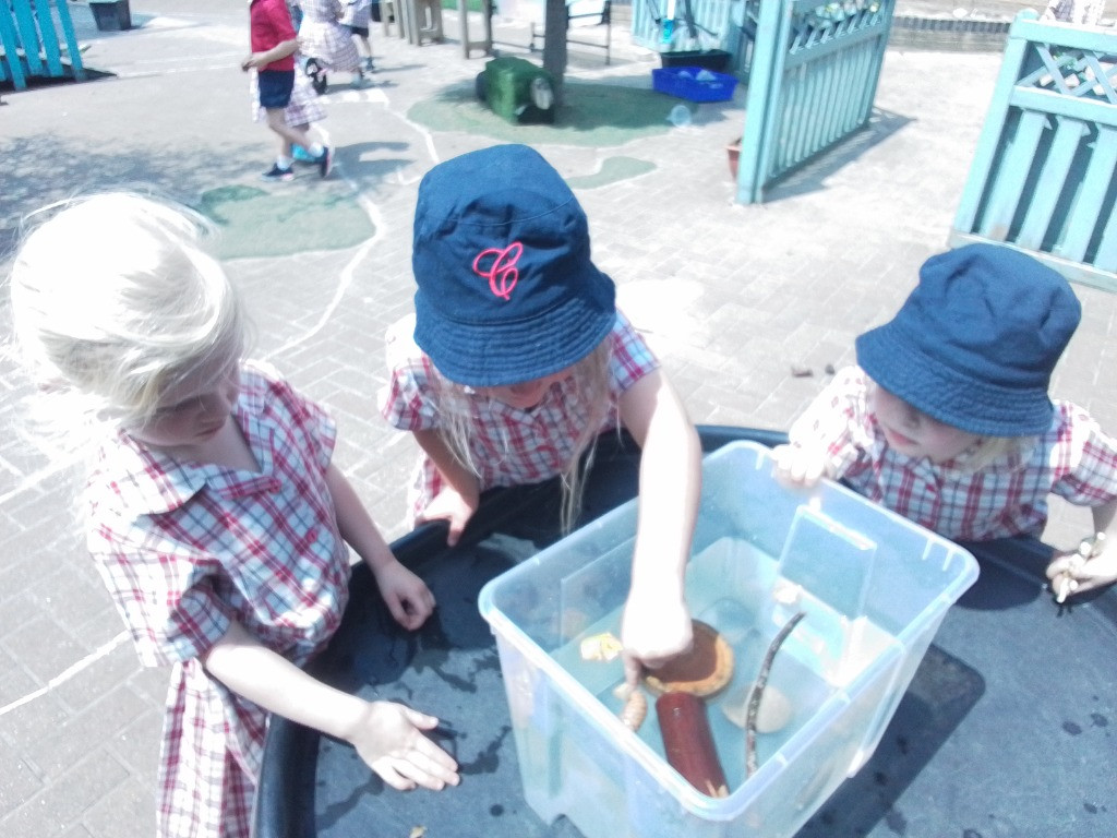 Float or Flop? The Very Scientific Woodland Water Test! 🌿🧪💧, Copthill School