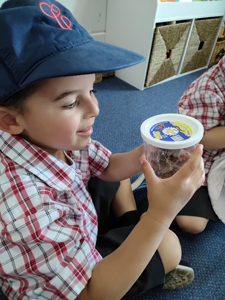 Caterpillar Chronicles: From Wriggles to Wings! 🐛✨🦋, Copthill School