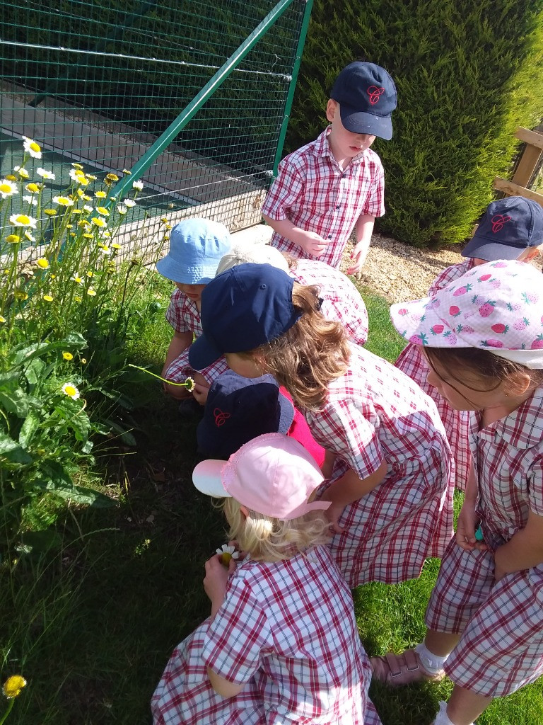Petal Patrol & the Great Fairy Escape 🌼🧚, Copthill School