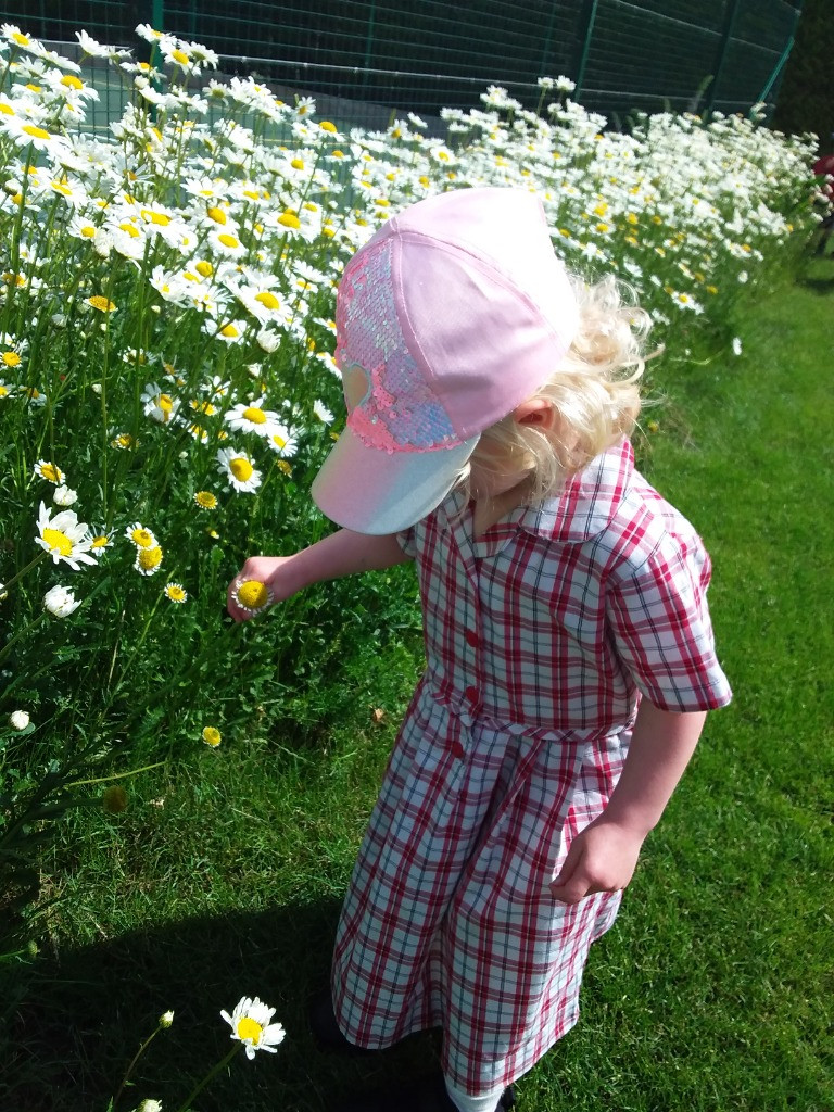 Petal Patrol & the Great Fairy Escape 🌼🧚, Copthill School