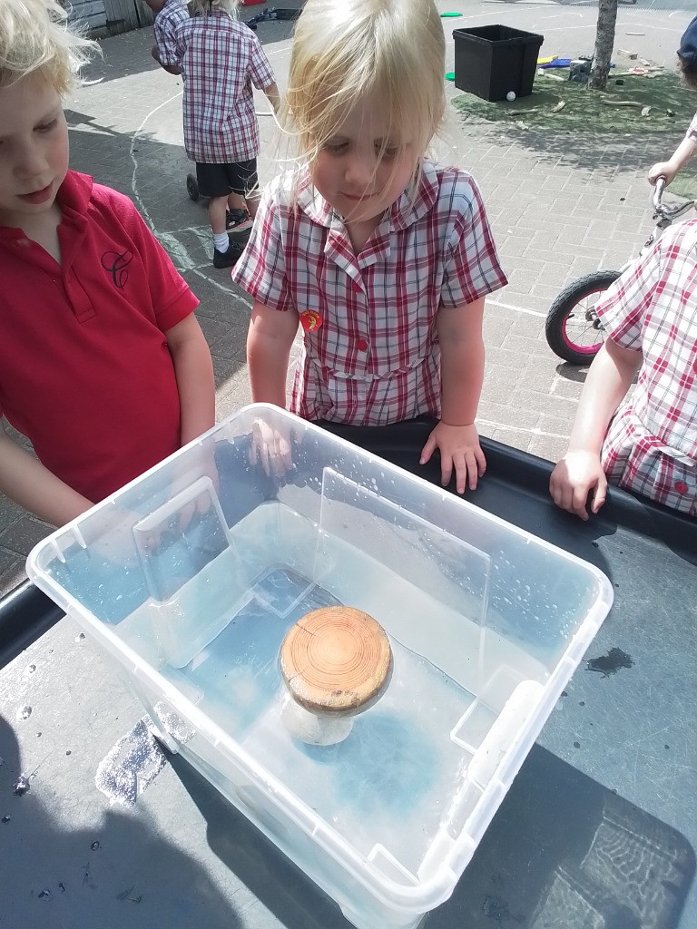 Float or Flop? The Very Scientific Woodland Water Test! 🌿🧪💧, Copthill School