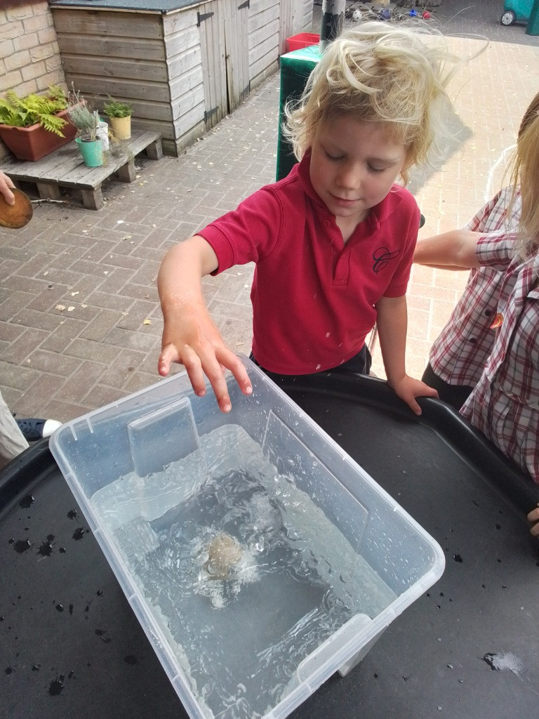 Float or Flop? The Very Scientific Woodland Water Test! 🌿🧪💧, Copthill School
