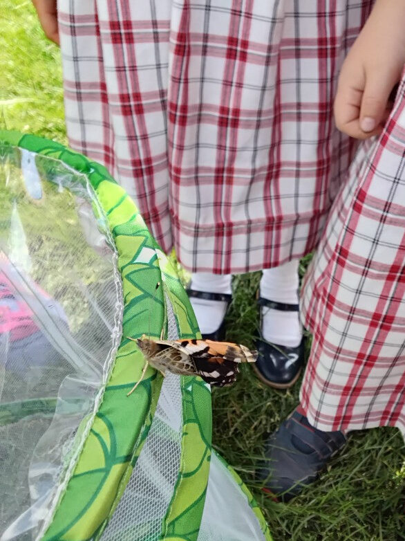 Caterpillar Chronicles: From Wriggles to Wings! 🐛✨🦋, Copthill School