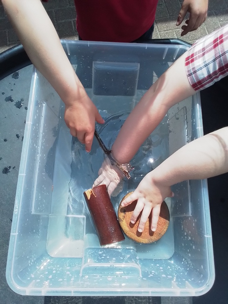 Float or Flop? The Very Scientific Woodland Water Test! 🌿🧪💧, Copthill School
