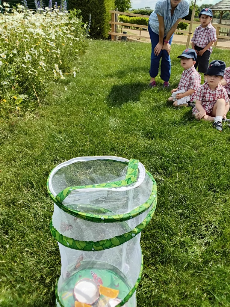 Caterpillar Chronicles: From Wriggles to Wings! 🐛✨🦋, Copthill School