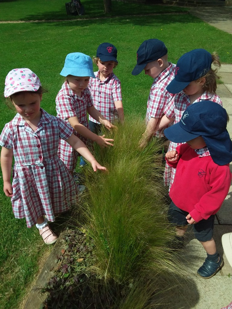 Petal Patrol & the Great Fairy Escape 🌼🧚, Copthill School
