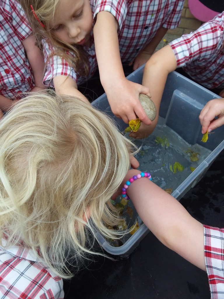 Float or Flop? The Very Scientific Woodland Water Test! 🌿🧪💧, Copthill School