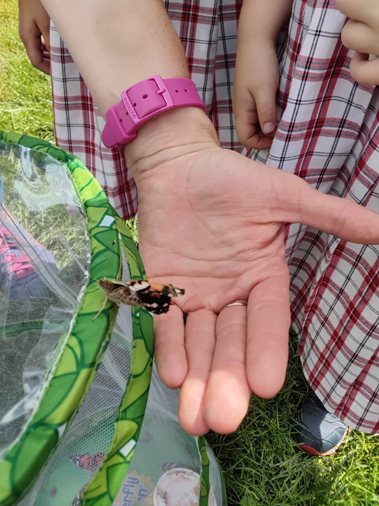 Caterpillar Chronicles: From Wriggles to Wings! 🐛✨🦋, Copthill School