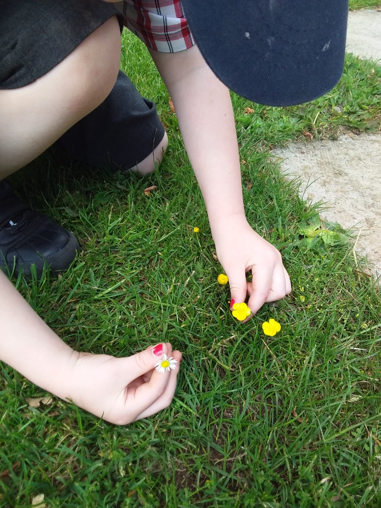 Petal Patrol & the Great Fairy Escape 🌼🧚, Copthill School