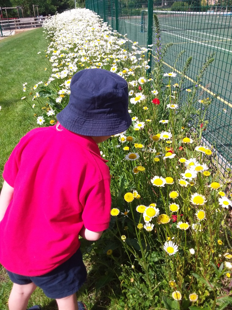 Petal Patrol & the Great Fairy Escape 🌼🧚, Copthill School