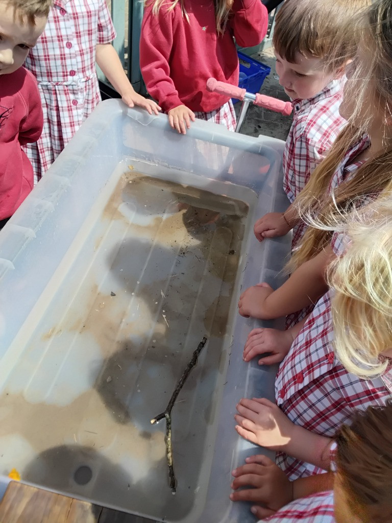 Float or Flop? The Very Scientific Woodland Water Test! 🌿🧪💧, Copthill School
