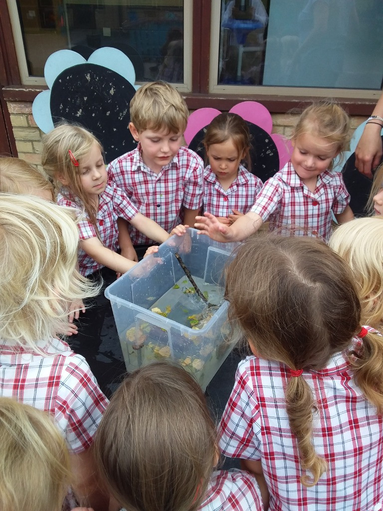 Float or Flop? The Very Scientific Woodland Water Test! 🌿🧪💧, Copthill School