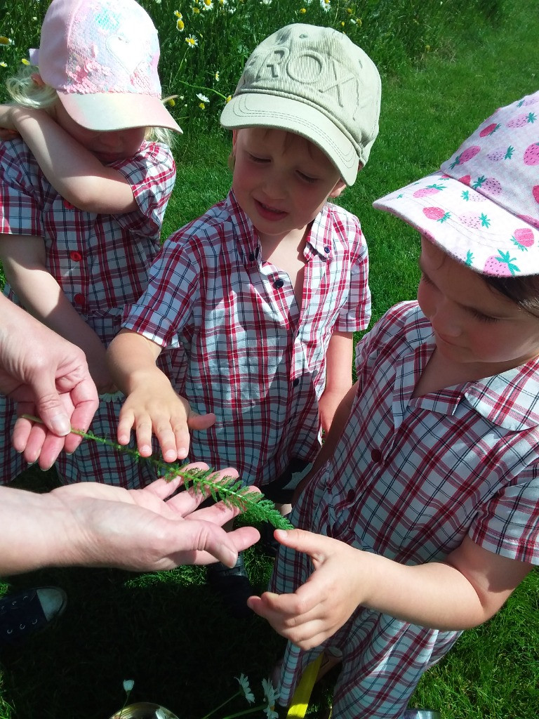 Petal Patrol & the Great Fairy Escape 🌼🧚, Copthill School