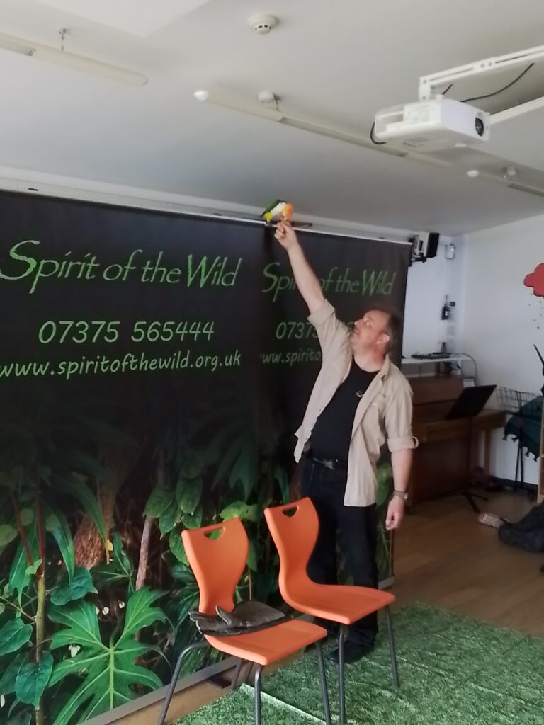 A Roaring Good Time with Spirit of the Wild!, Copthill School