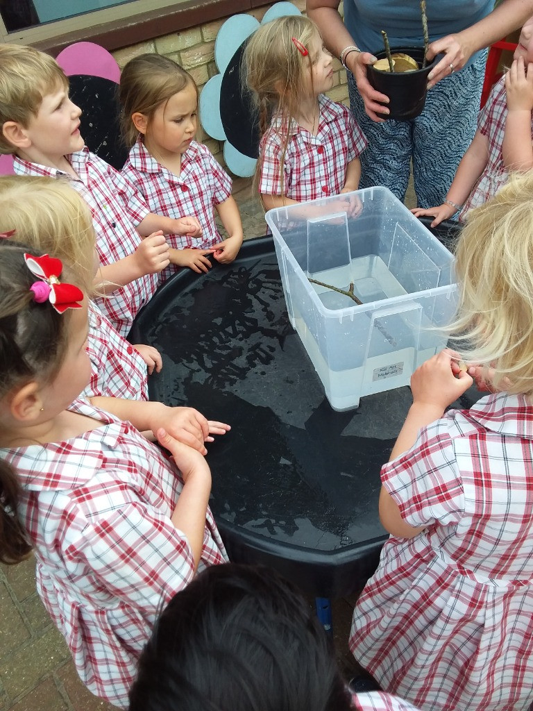 Float or Flop? The Very Scientific Woodland Water Test! 🌿🧪💧, Copthill School