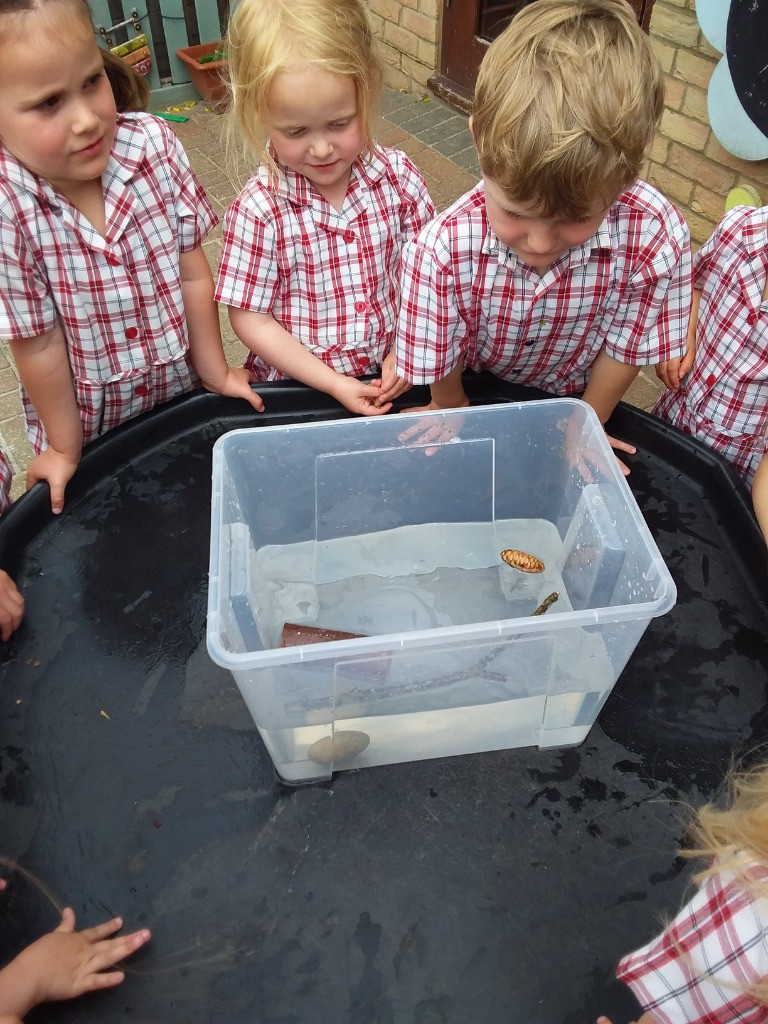 Float or Flop? The Very Scientific Woodland Water Test! 🌿🧪💧, Copthill School