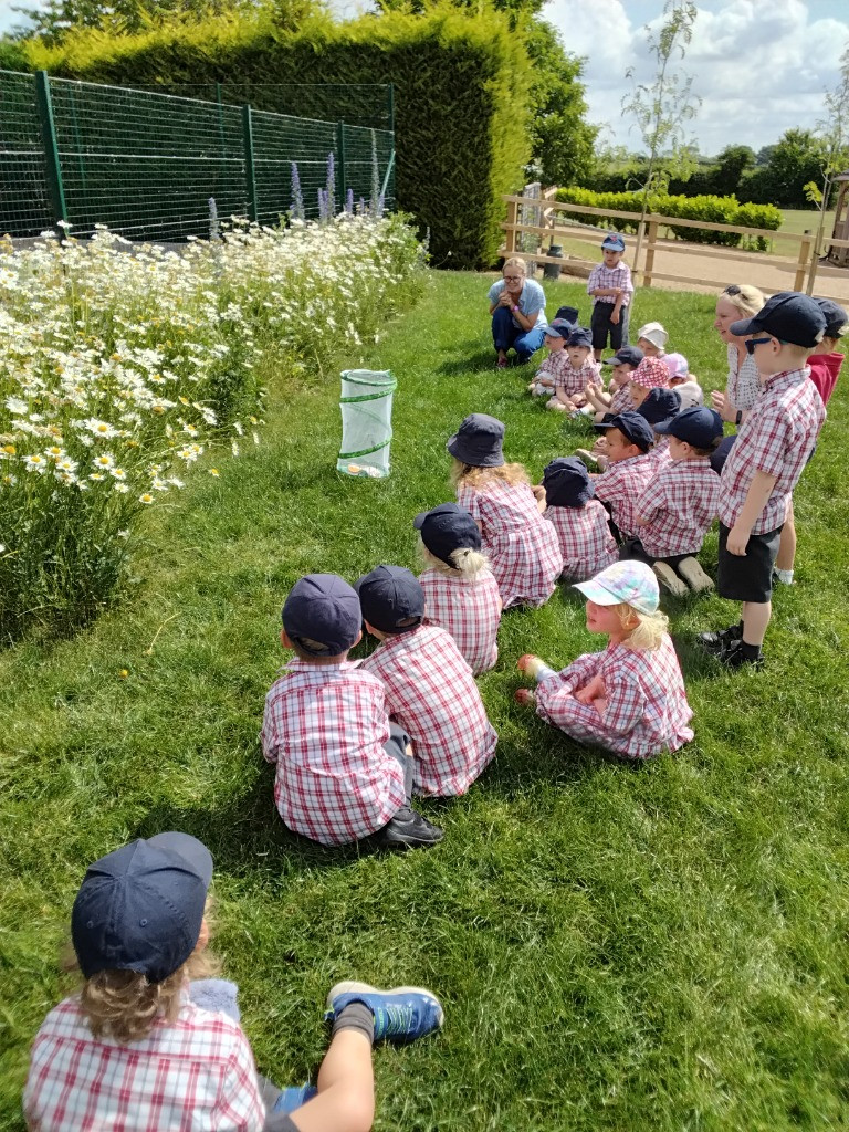 Caterpillar Chronicles: From Wriggles to Wings! 🐛✨🦋, Copthill School