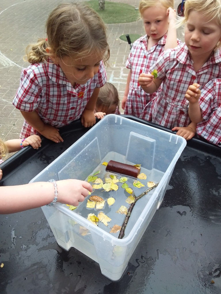 Float or Flop? The Very Scientific Woodland Water Test! 🌿🧪💧, Copthill School