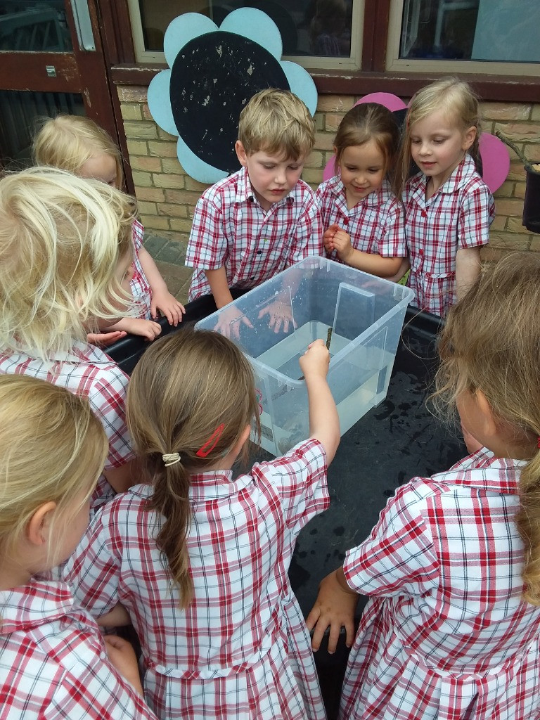 Float or Flop? The Very Scientific Woodland Water Test! 🌿🧪💧, Copthill School