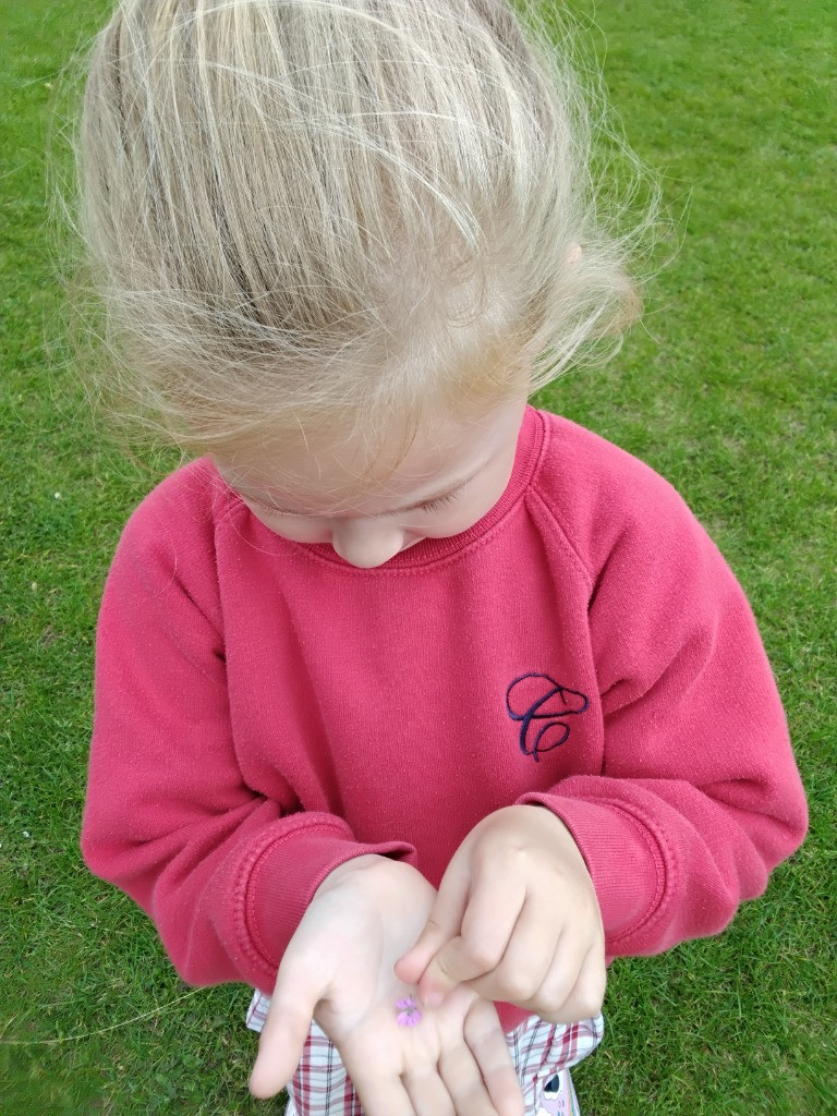 Petal Patrol & the Great Fairy Escape 🌼🧚, Copthill School