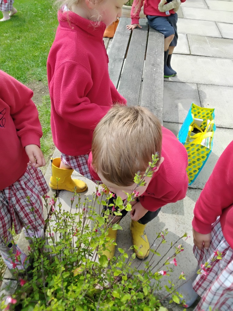 Petal Patrol & the Great Fairy Escape 🌼🧚, Copthill School