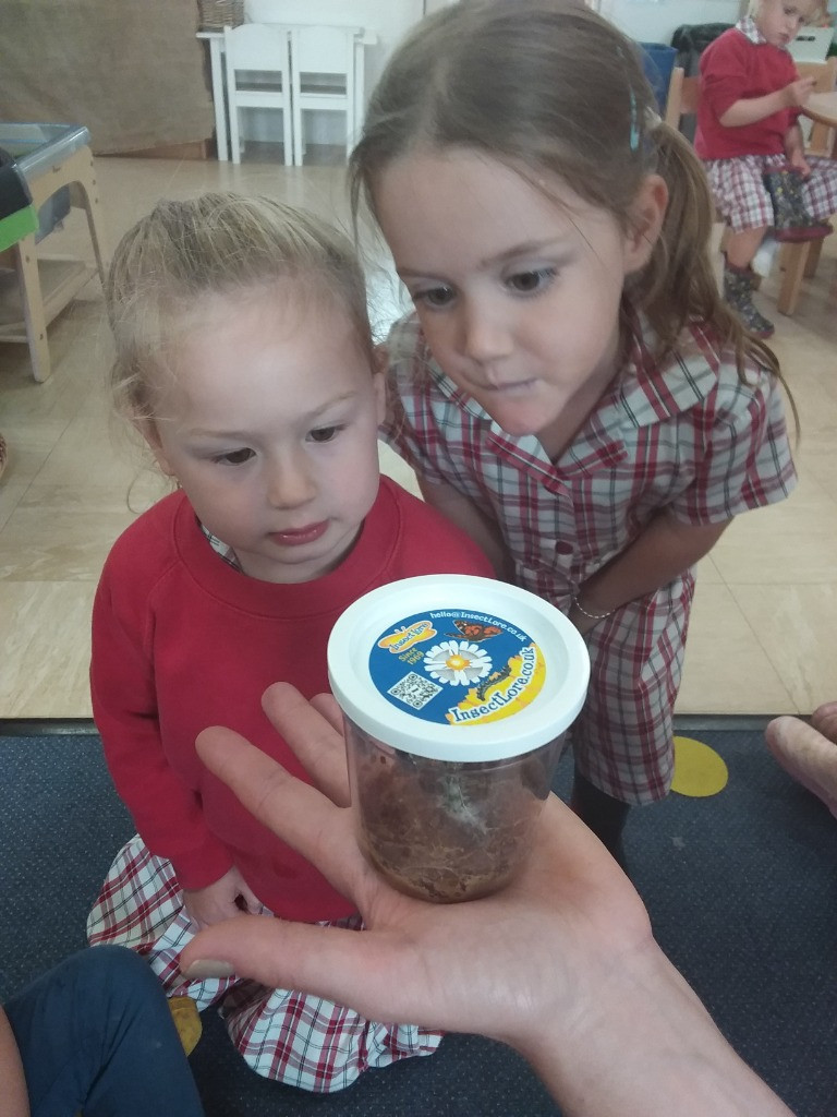 Caterpillar Chronicles: From Wriggles to Wings! 🐛✨🦋, Copthill School