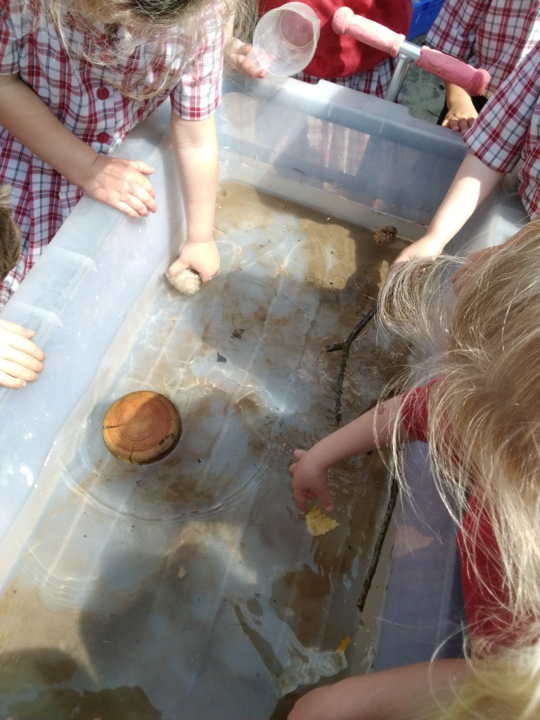 Float or Flop? The Very Scientific Woodland Water Test! 🌿🧪💧, Copthill School
