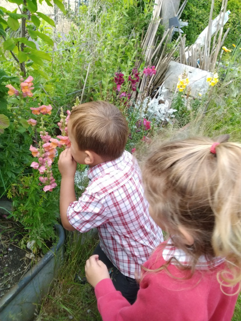 Petal Patrol & the Great Fairy Escape 🌼🧚, Copthill School