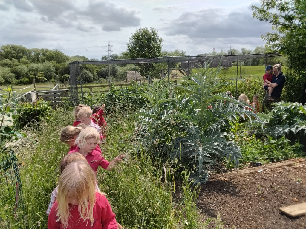 Petal Patrol & the Great Fairy Escape 🌼🧚, Copthill School